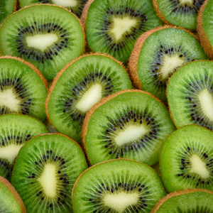 Kiwifruit Plants