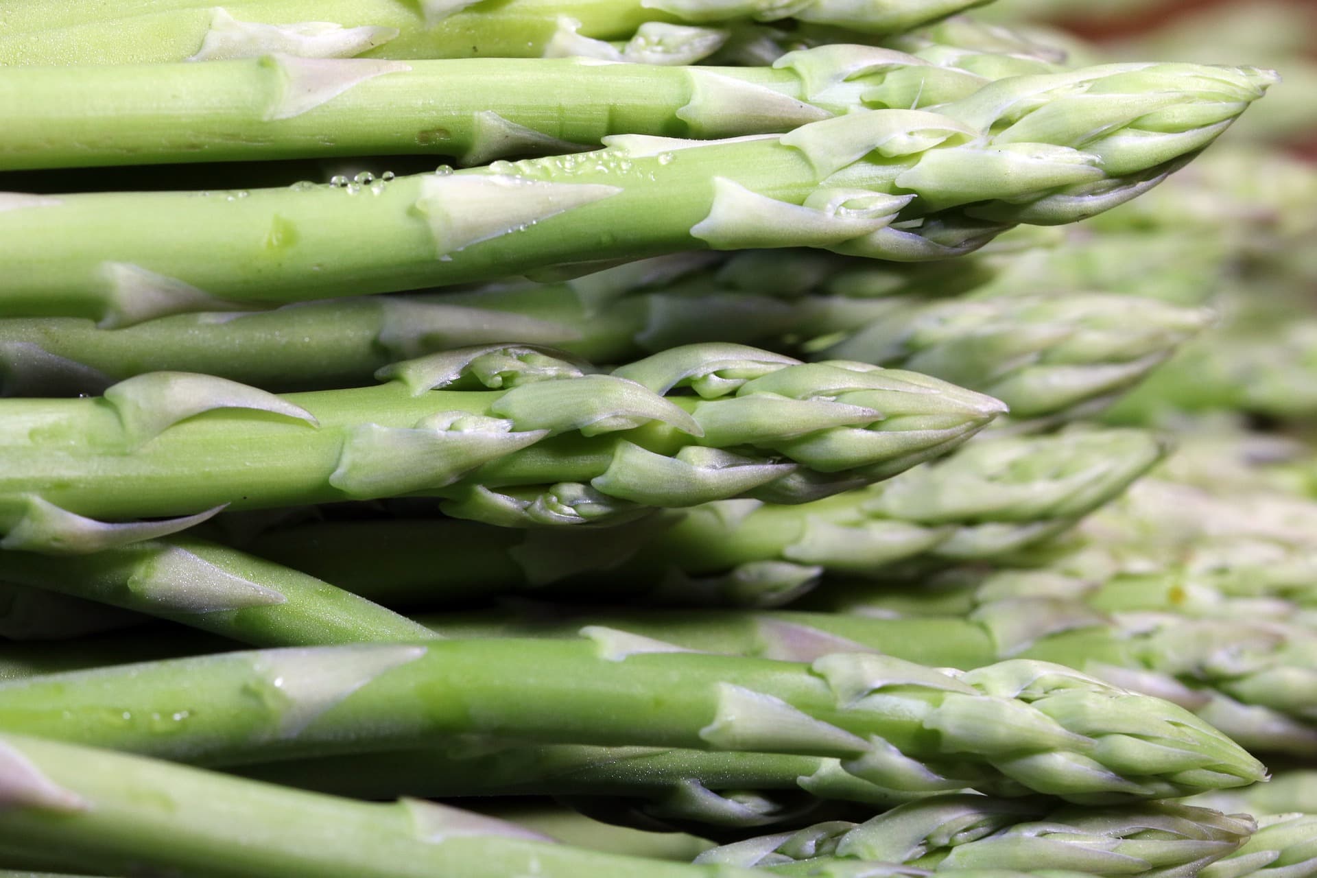 Asparagus Seeds