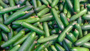 a pile of green cucumbers