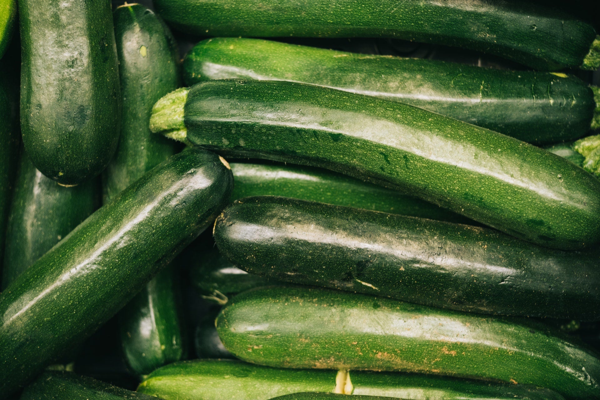 Zucchini Seeds