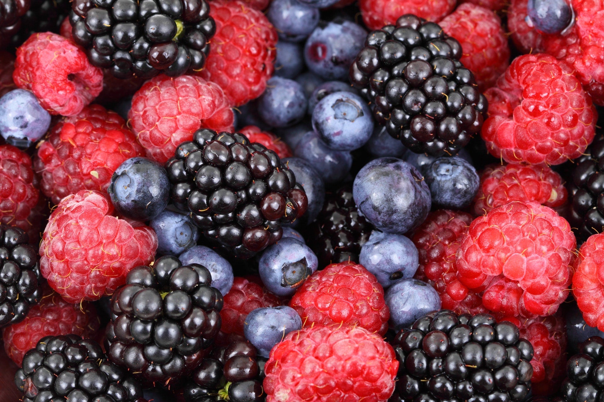 Berry Plants