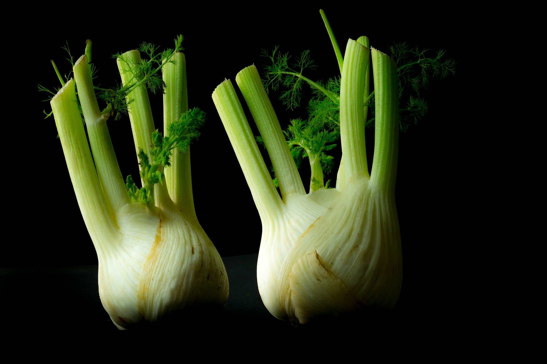 Fennel Seeds