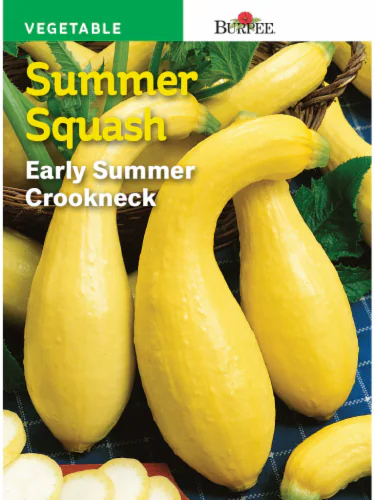 Early Summer Crookneck Squash - Burpee