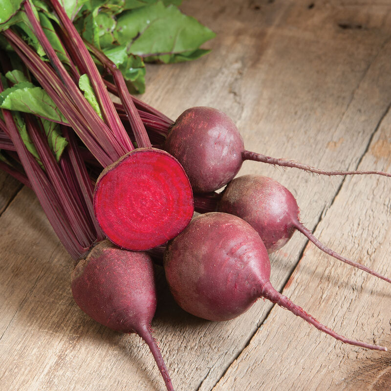 Beet Red Ace - Pacific Northwest Seeds