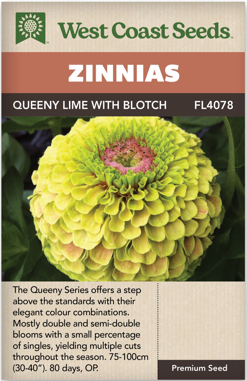 Zinnia Queeny Lime With Blotch - West Coast Seeds