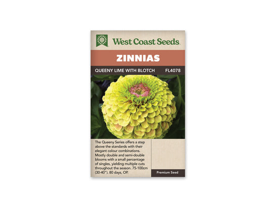 Zinnia Queeny Lime With Blotch - West Coast Seeds