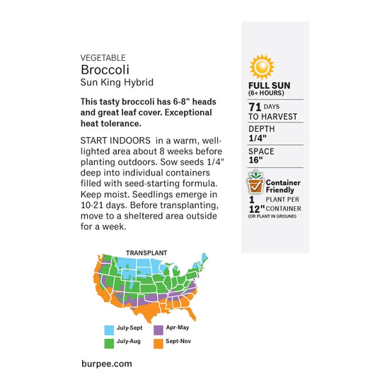 Broccoli Sun King Hybrid - Burpee Seeds