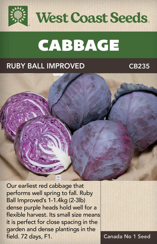 Cabbage Ruby Ball Improved - West Coast Seeds