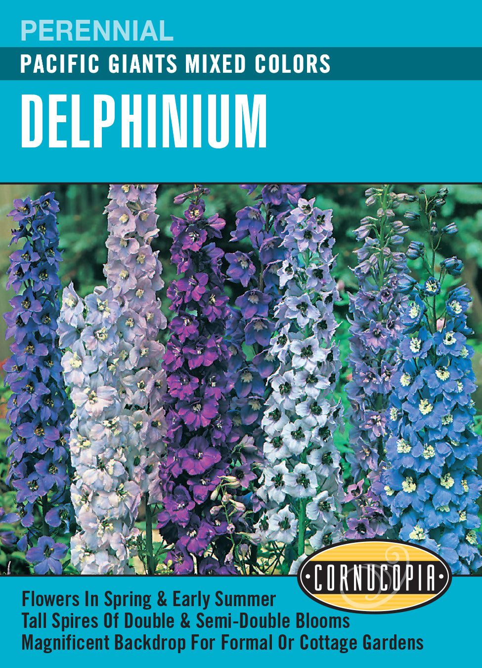 Delphinium Pacific Giants - Cornucopia Seeds