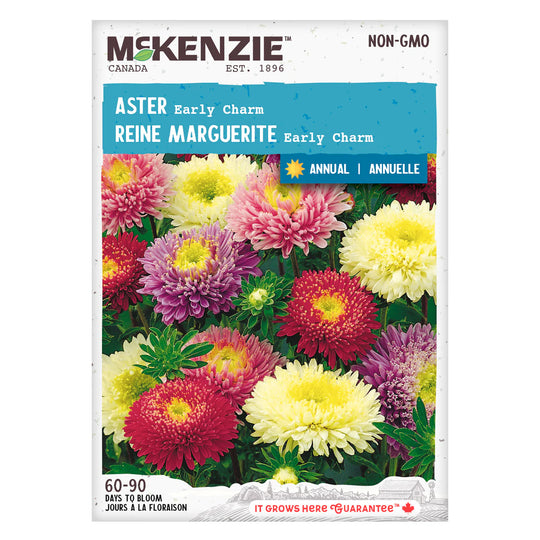 Aster Early Charm Mix - McKenzie Seeds