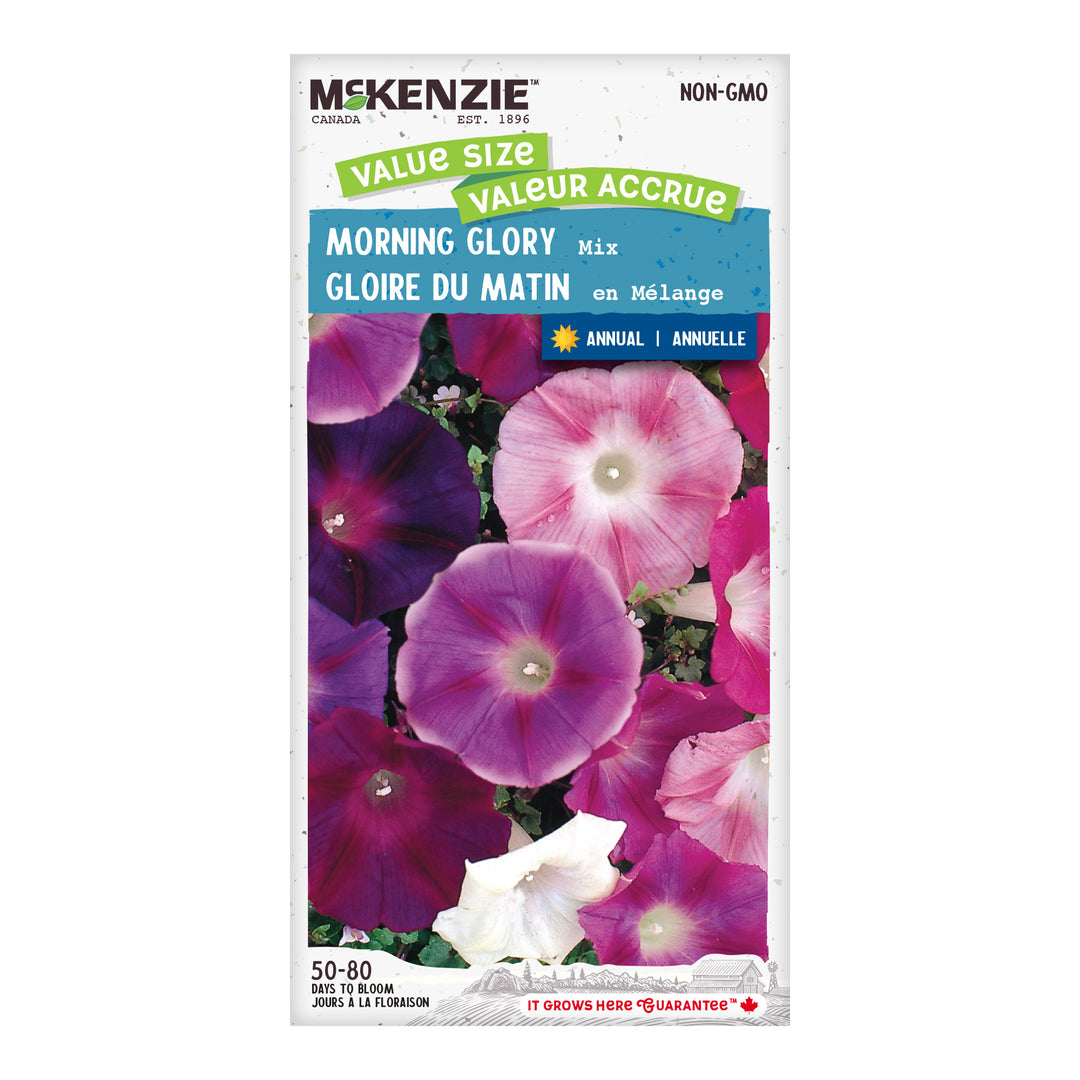 Morning Glory Mix Jumbo Pack - McKenzie Seeds