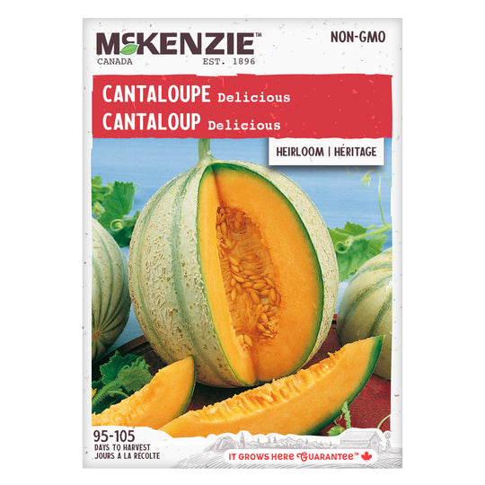 Cantaloupe Delicious - McKenzie Seeds