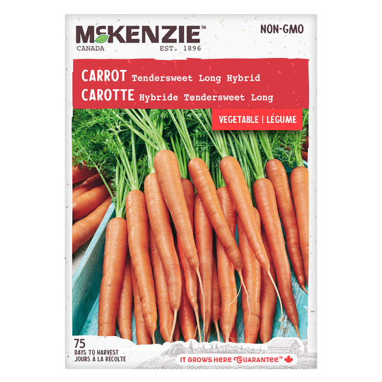 Carrot Tendersweet Long Hybrid - McKenzie Seeds