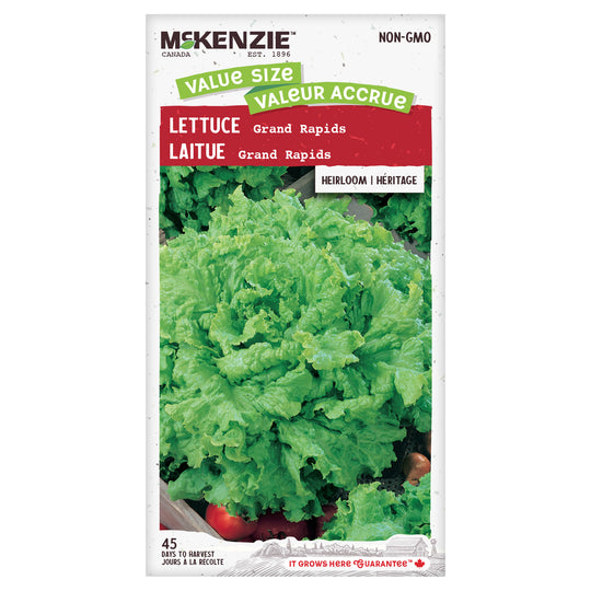 Lettuce Grand Rapids Jumbo Pack - McKenzie Seeds