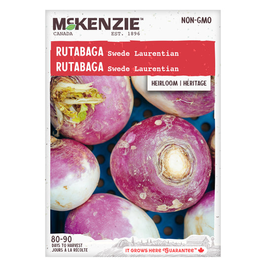 Rutabaga Swede Laurentian - McKenzie Seeds