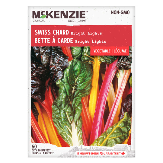 Swiss Chard Bright Lights - McKenzie Seeds