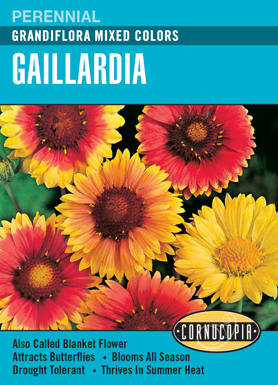 Gaillardia Grandiflora Mixed Colours - Cornucopia Seeds