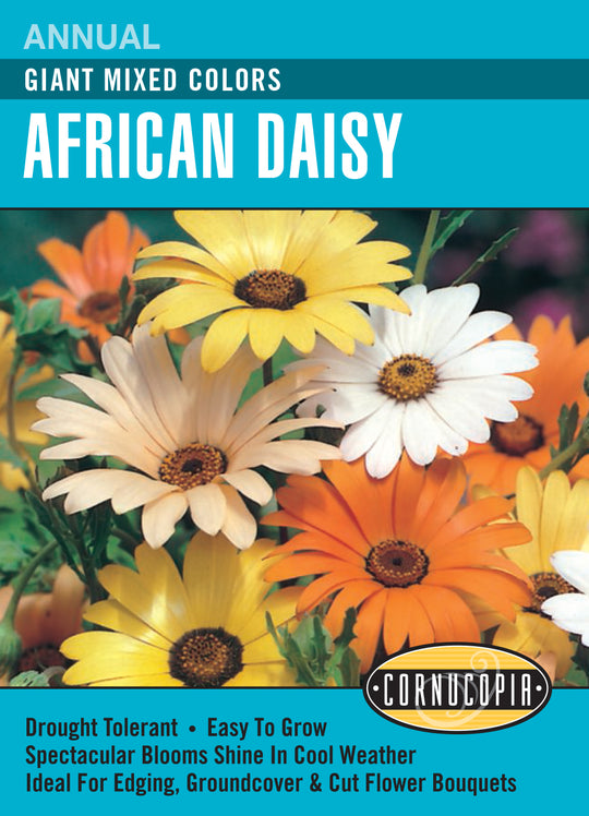 African Daisy Giants Mix - Cornucopia Seeds