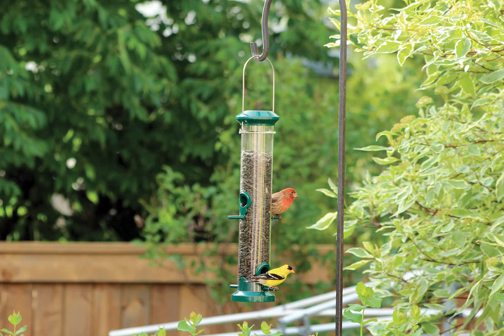 Bird Feeder 16" Green Tube Seed Feeder - Pinebush Home & Garden