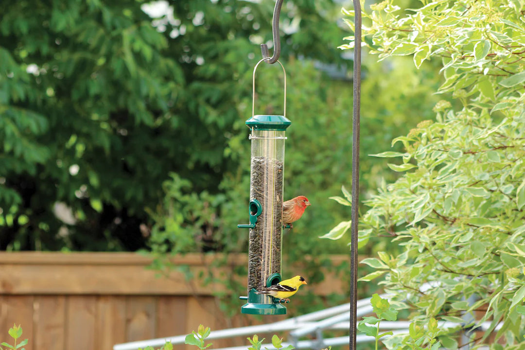 Bird Feeder 16" Green Tube Seed Feeder - Pinebush Home & Garden