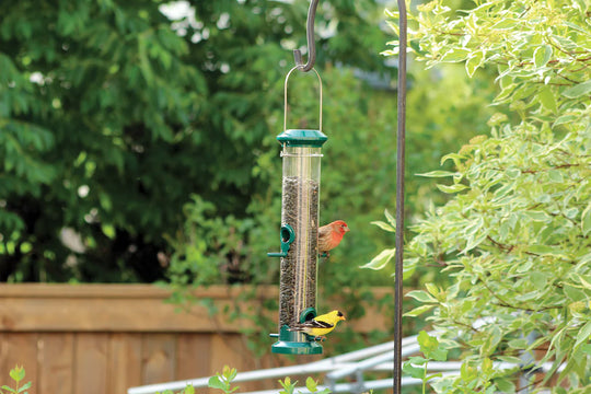 Bird Feeder 16" Green Tube Seed Feeder - Pinebush Home & Garden
