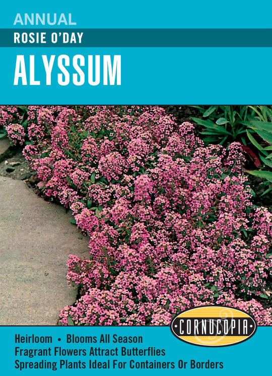 Alyssum Rosie O'Day - Cornucopia Seeds