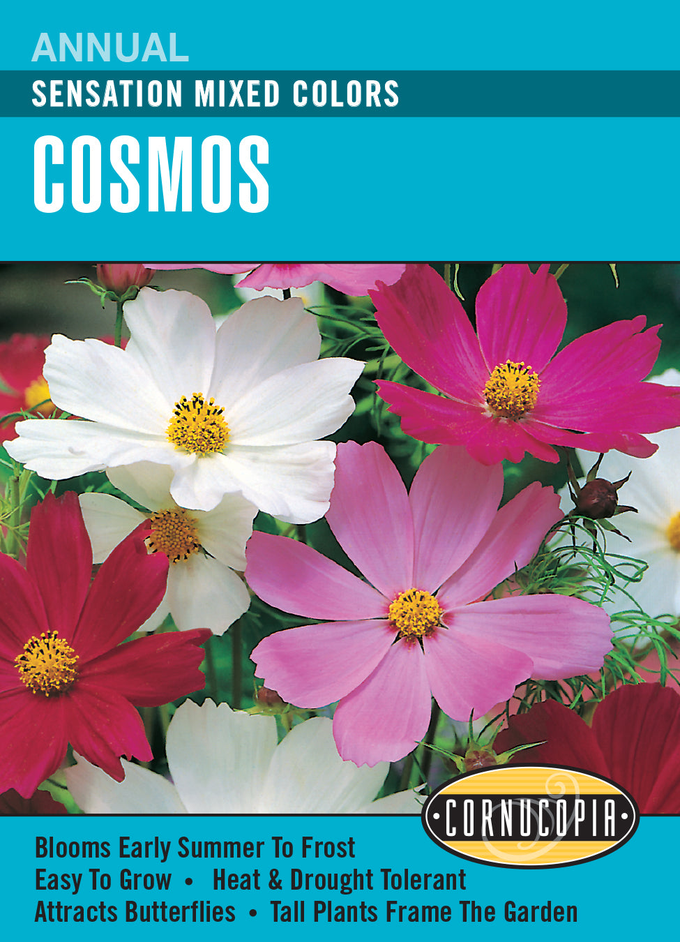 Cosmos Sensation Mix - Cornucopia Seeds