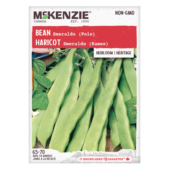 Bean Smeraldo Pole - McKenzie Seeds