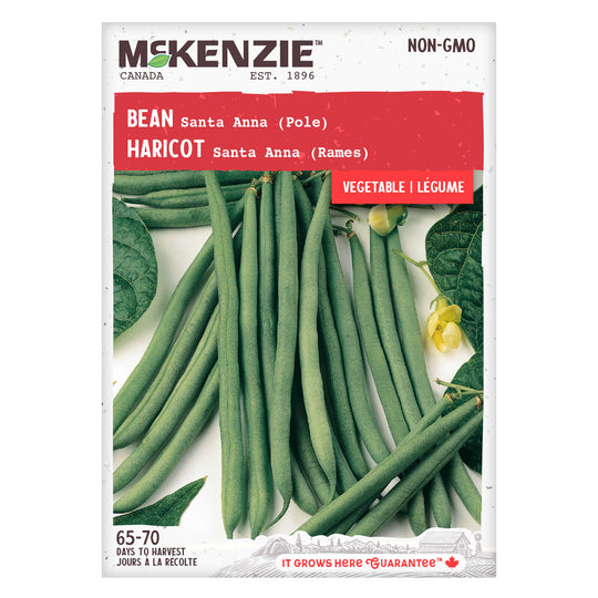 Bean Santa Anna Pole - McKenzie Seeds