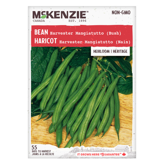 Bean Harvester Mangiatutto Bush (Gusto Italia) - McKenzie Seeds