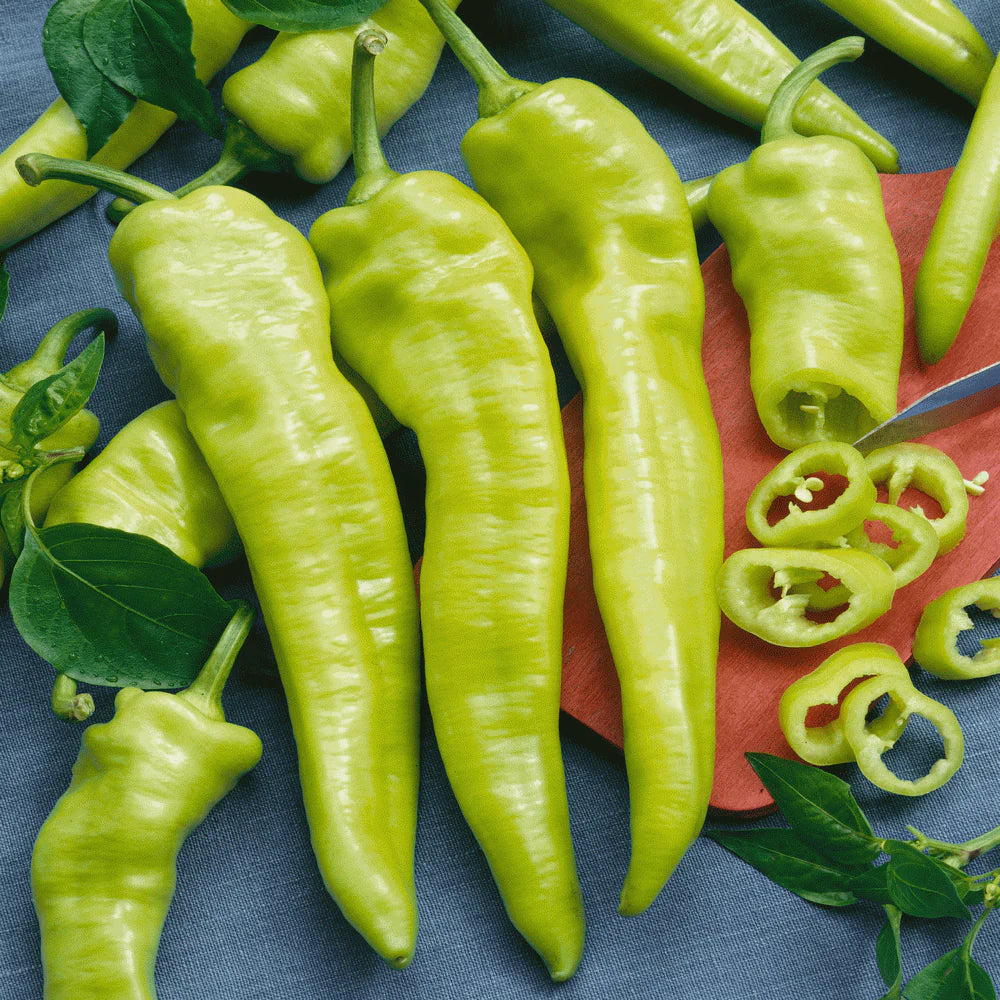 Pepper Hungarian Yellow Hot - Pacific Northwest Seeds