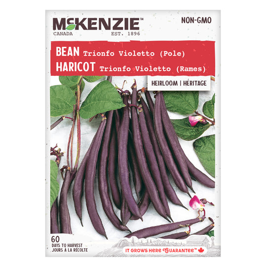 Bean Trionfo Violetta Pole - McKenzie Seeds