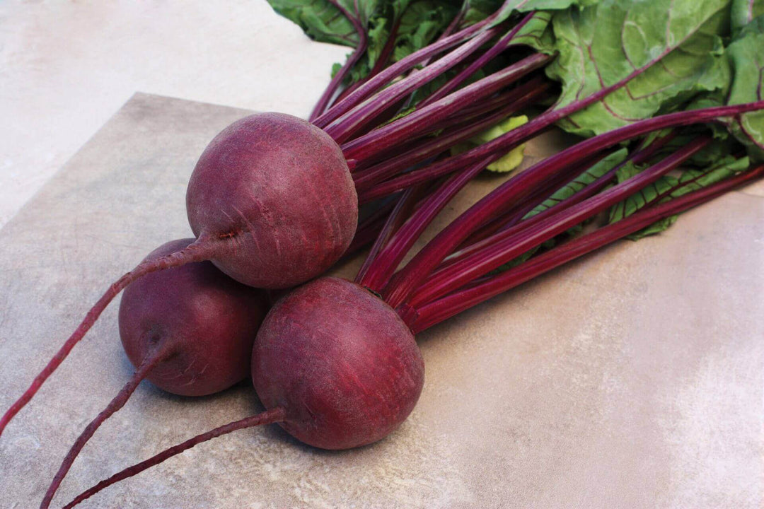 Beet Kestrel - Pacific Northwest Seeds