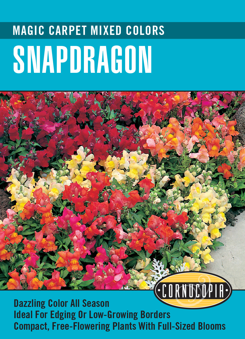 Snapdragon Magic Carpet Mix - Cornucopia Seeds