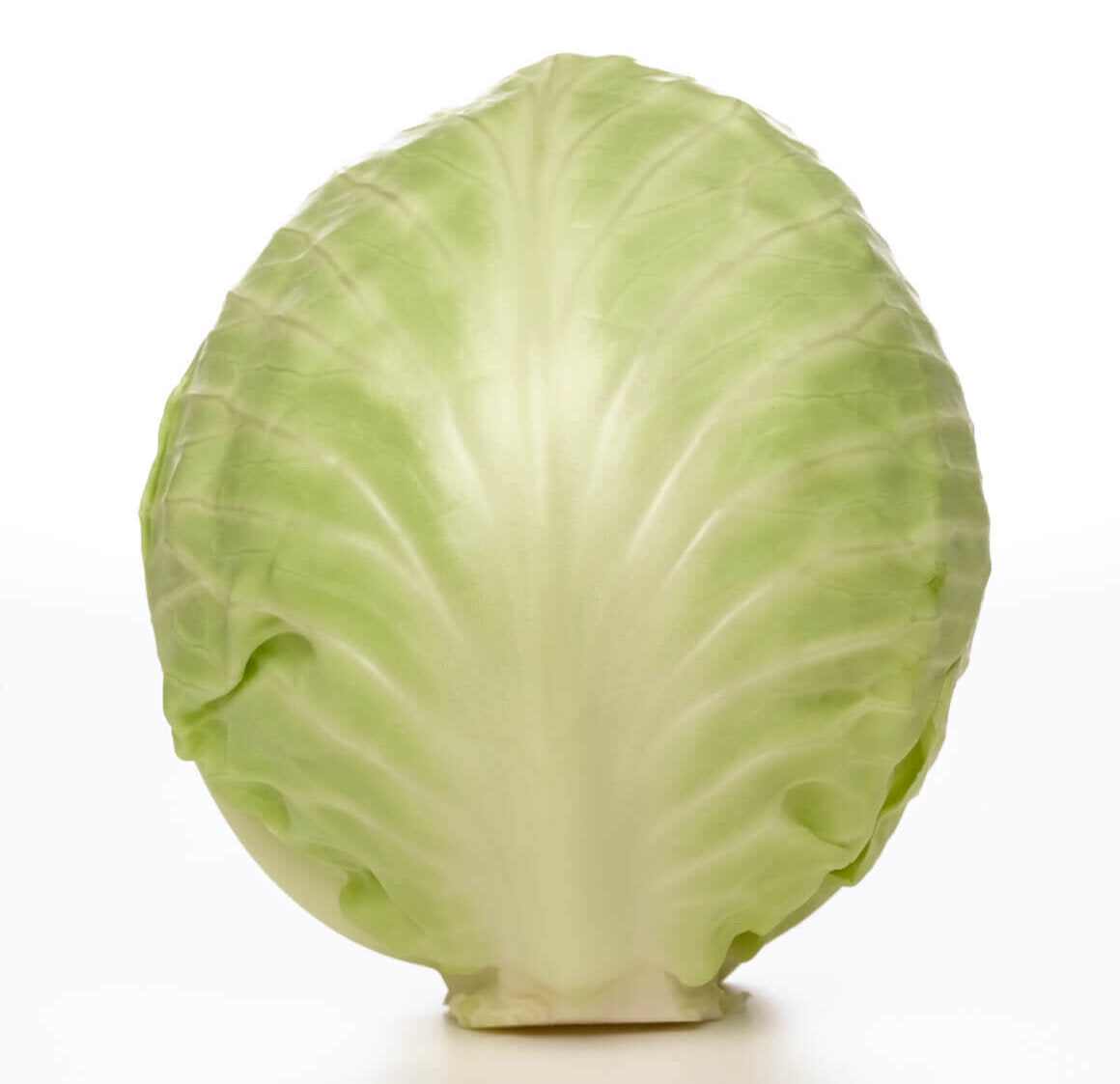 Cabbage Copenhagen Market - Ontario Seed Company