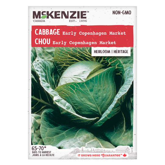 Cabbage Early Copenhagen Market - McKenzie Seeds