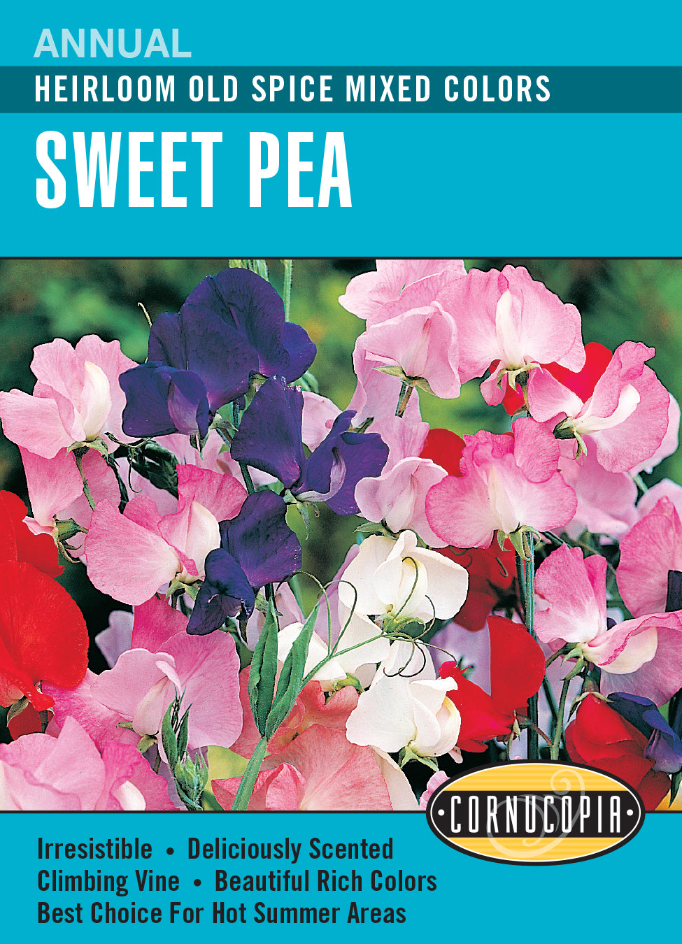 Sweet Pea Old Spice Mixed Colours - Cornucopia Seeds