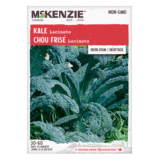 Kale Lacinato - McKenzie Seeds