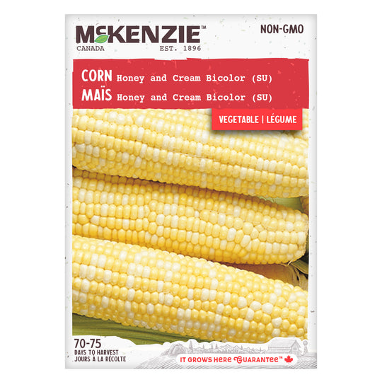 Corn Honey & Cream Bicolor SU - McKenzie Seeds