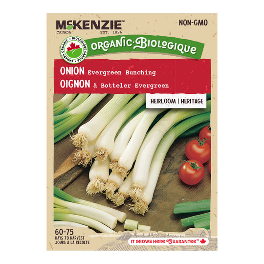 Organic Onion Evergreen Bunching - McKenzie Seeds