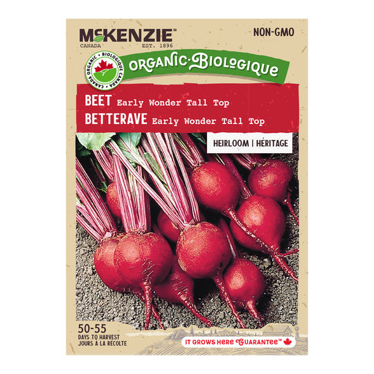 Organic Beet Early Wonder Tall Top - McKenzie Seeds