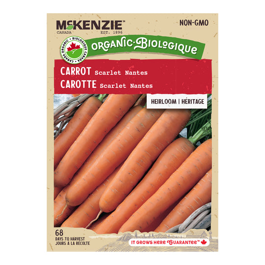 Organic Carrot Scarlet Nantes - McKenzie Seeds