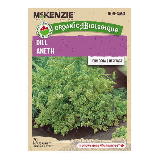 Organic Dill - McKenzie Seeds