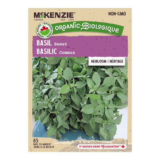 Organic Basil Sweet - McKenzie Seeds