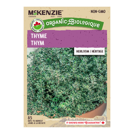 Organic Thyme - McKenzie Seeds