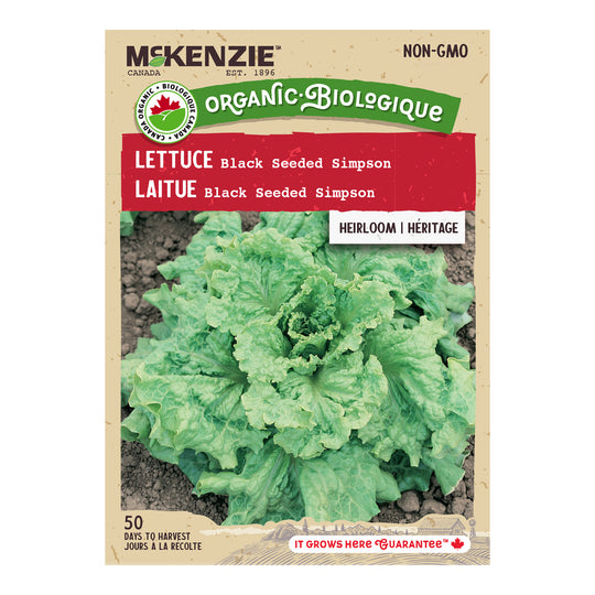 Organic Lettuce Black Simpson - McKenzie Seeds