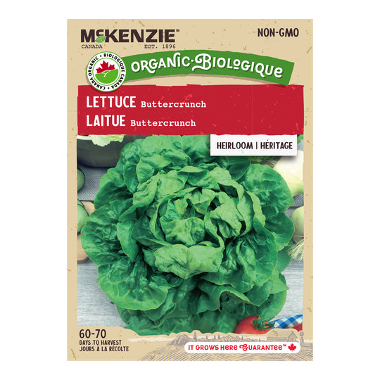 Organic Lettuce Buttercrunch - McKenzie Seeds