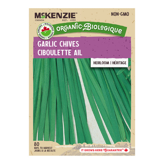 Organic Garlic Chives - McKenzie Seeds