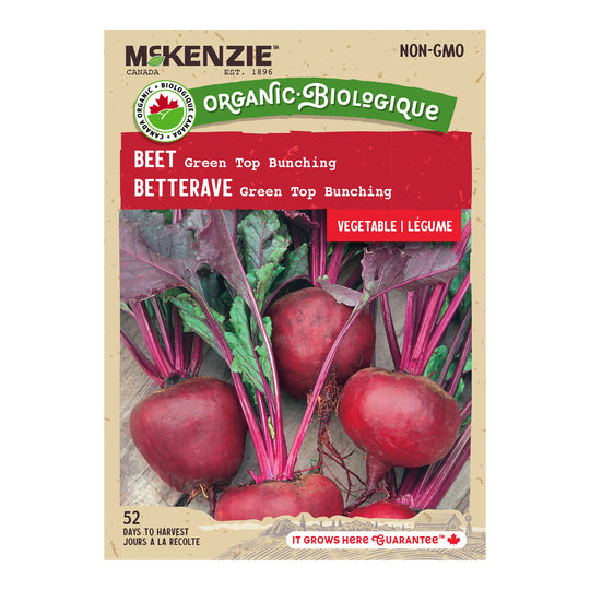 Organic Beet Green Top Bunching  - McKenzie Seeds