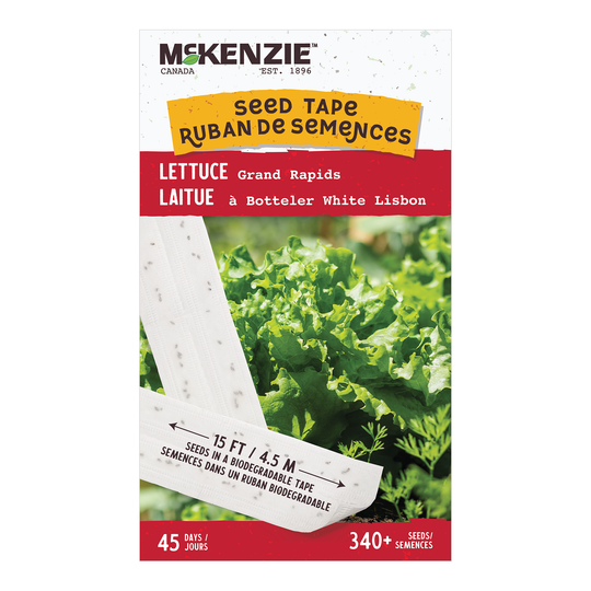 Lettuce Grand Rapids, Seed Tape - McKenzie Seeds